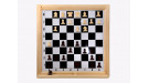 Шахматы настенные демонстрационные Орлов